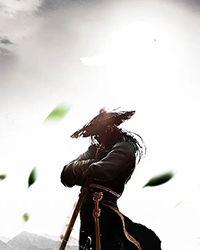 燃晚吸血鬼hunter